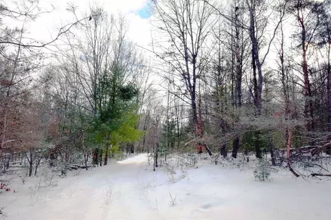 Other - 46 E Clarence, Harrison, MI 48625 photo 5 of 20