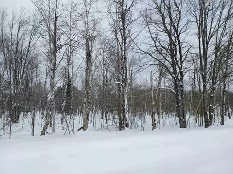 717 718 Clarmont, Mancelona, MI 49659