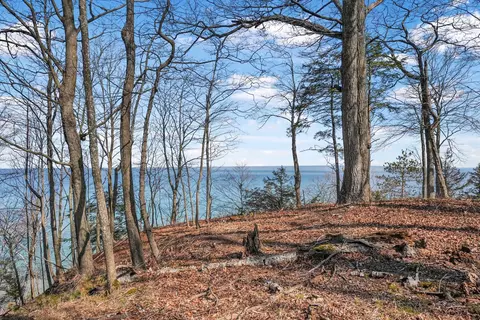lot91 Ridge, Frankfort, MI 49635