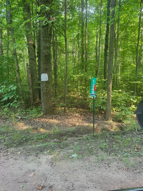 tbd N Harrison Railroad Grade, Harrison, MI 48625 photo 3