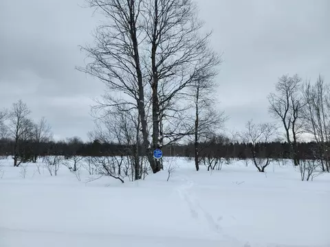 lot161 Wyckerly, Mancelona, MI 49659