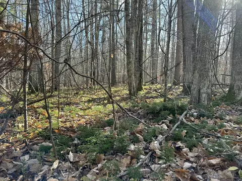 Parcel 4 Hideaway, Beaver Island, MI 49782