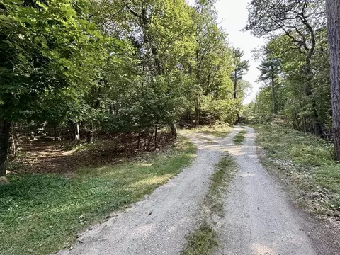 lot23 Pine Cone, Beaver Island, MI 49782