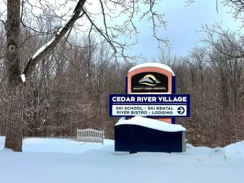 189 Double Eagle, Bellaire, MI 49615