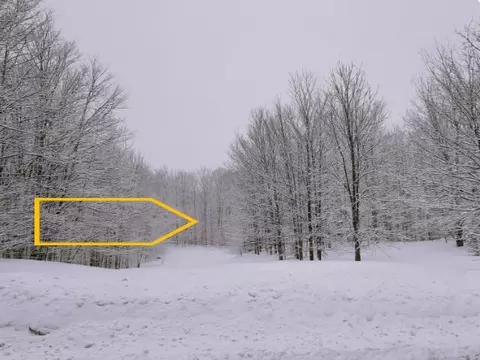 189 Double Eagle, Bellaire, MI 49615 photo 2
