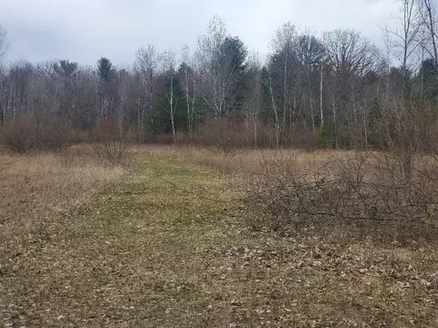 565 S Wise, Mount Pleasant, MI 48858 photo 10