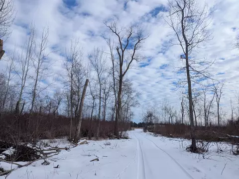 N/a Swenson, Au Gres, MI 48703 photo 6