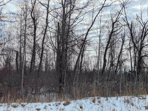 N/a Swenson, Au Gres, MI 48703 photo 4