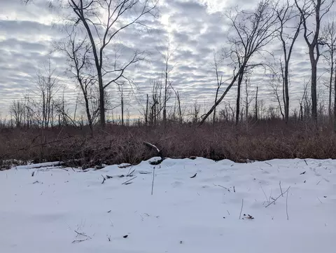 N/a Swenson, Au Gres, MI 48703 photo 8