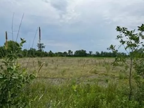 N/a Tonkey, Au Gres, MI 48703