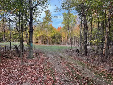 005 S Bright #LOT : 5, Maple City, MI 49664