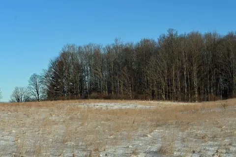 0 E Ritchie, Lincoln, MI 48742