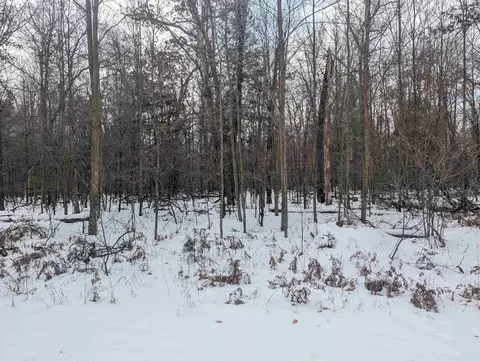 N/A Georgia Edna #: 33, Prescott, MI 48756