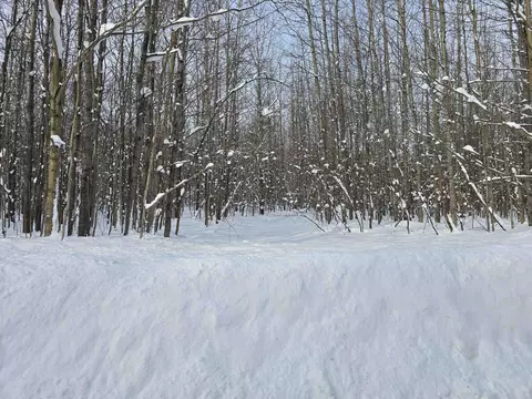 0 Cinder Hl, Mancelona, MI 49659