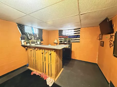 348 E Wright, Shepherd, MI 48883 photo 34