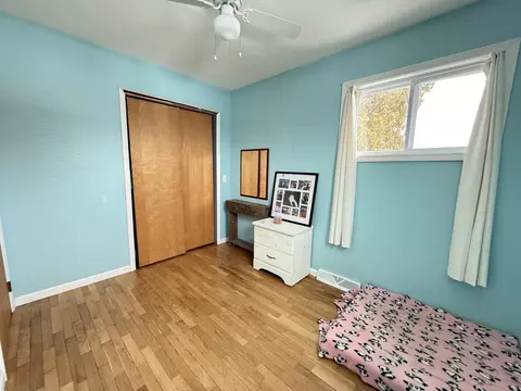 348 E Wright, Shepherd, MI 48883 photo 29