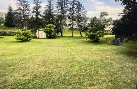 348 E Wright, Shepherd, MI 48883 photo 11