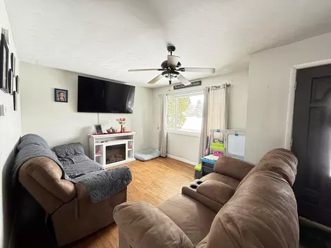 348 E Wright, Shepherd, MI 48883 photo 20