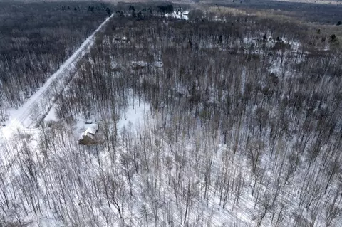 View/Area - 294 S Alamando, Shepherd, MI 48883 photo 3 of 7