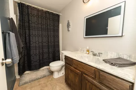 Bath - 294 S Alamando, Shepherd, MI 48883 photo 3 of 4