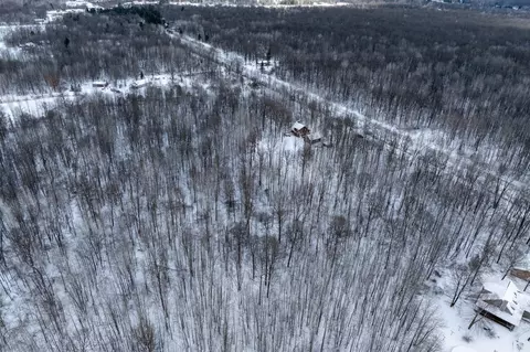 View/Area - 294 S Alamando, Shepherd, MI 48883 photo 6 of 7