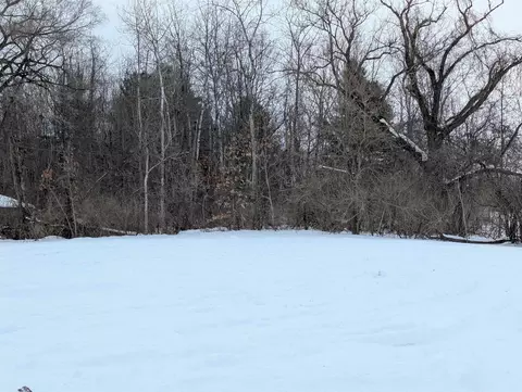 N/a Court, Au Gres, MI 48703 photo 4
