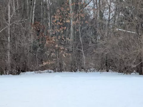 N/a Court, Au Gres, MI 48703