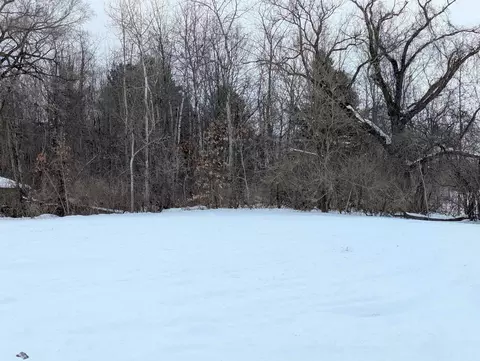 N/a Court, Au Gres, MI 48703 photo 3