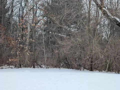 N/a Court, Au Gres, MI 48703 photo 5