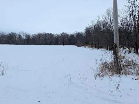 N/a Swenson, Au Gres, MI 48703 photo 14