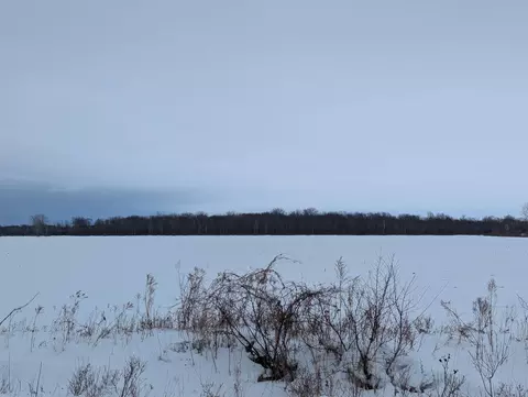 N/a Swenson, Au Gres, MI 48703 photo 8