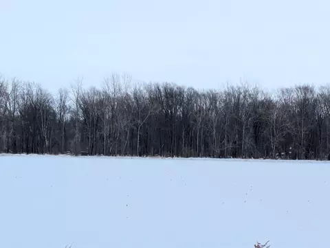 N/a Swenson, Au Gres, MI 48703 photo 12
