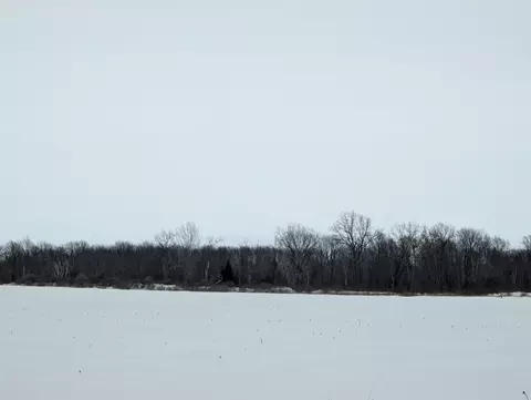 N/a Swenson, Au Gres, MI 48703 photo 3