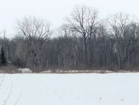 N/a Swenson, Au Gres, MI 48703 photo 5