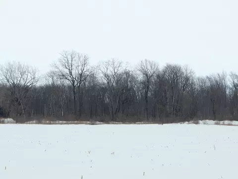 N/a Swenson, Au Gres, MI 48703 photo 6