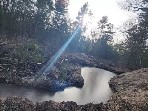2201 Ausable Pt, Oscoda, MI 48750