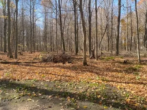 868 W 4 #LOT : A, Buckley, MI 49620