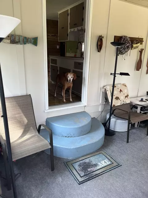 108 Ute, Manton, MI 49663 photo 23