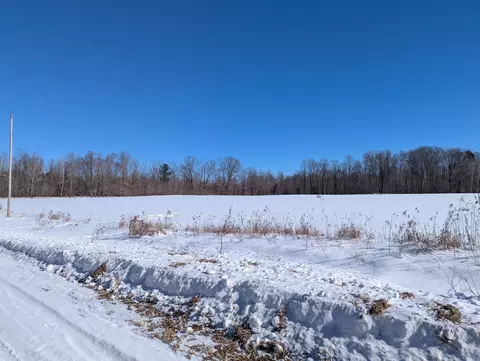 N/a Williams, Twining, MI 48766 photo 3