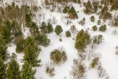 2 5 Witz End, Interlochen, MI 49643 photo 6