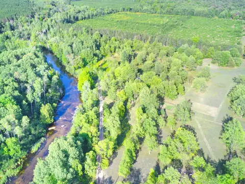 40 Acres B Wallin, Thompsonville, MI 49683