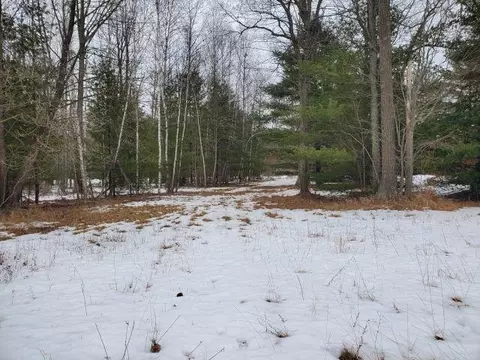 0 Rodnick #PARCEL A RODNICK ROAD, Prescott, MI 48756