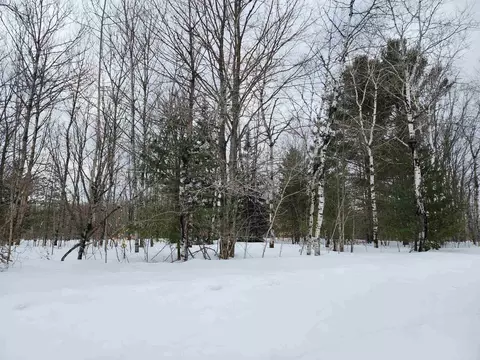 lot689690691 Wildomar, Mancelona, MI 49659