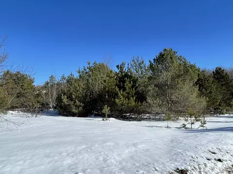 00 Virginia, Interlochen, MI 49643