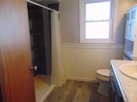 229 S Ithaca, Ithaca, MI 48847 photo 23
