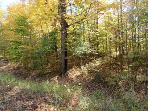 00 Jeri, Interlochen, MI 49643 photo 3