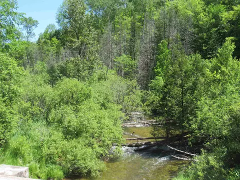 00 Jeri, Interlochen, MI 49643 photo 7
