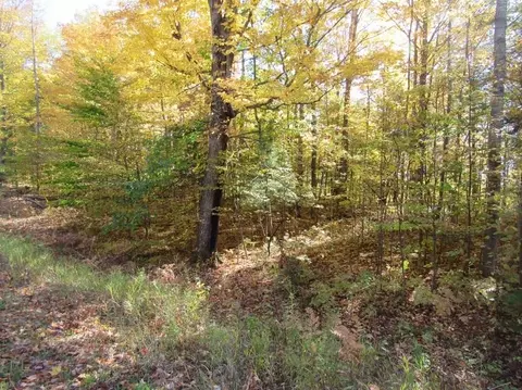 00 Jeri, Interlochen, MI 49643 photo 2