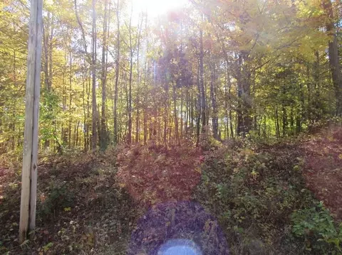 00 Jeri, Interlochen, MI 49643 photo 5