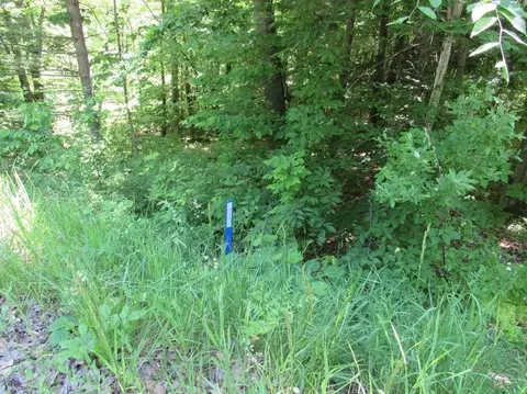 00 Jeri, Interlochen, MI 49643 photo 6